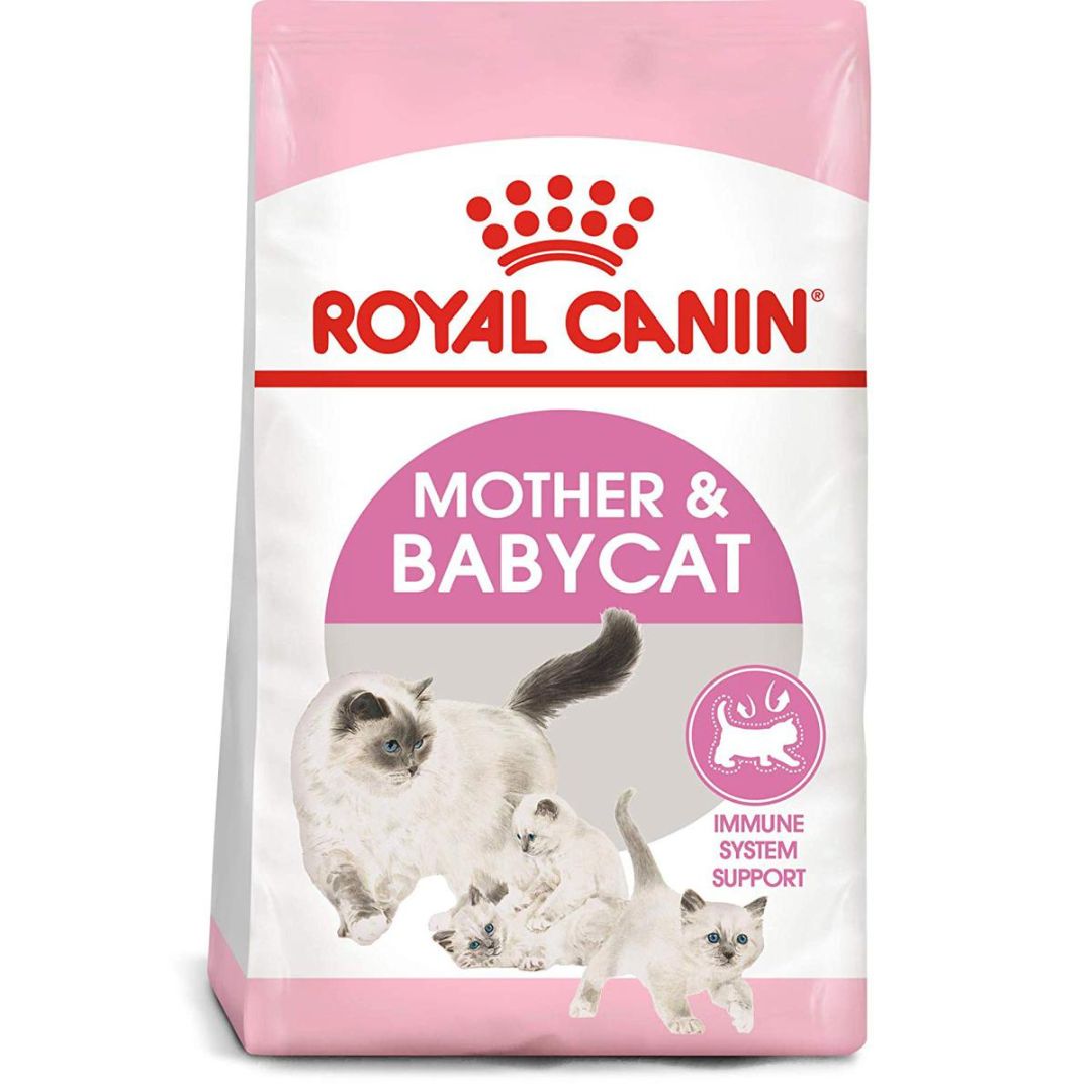 Royal canin mother and baby cat