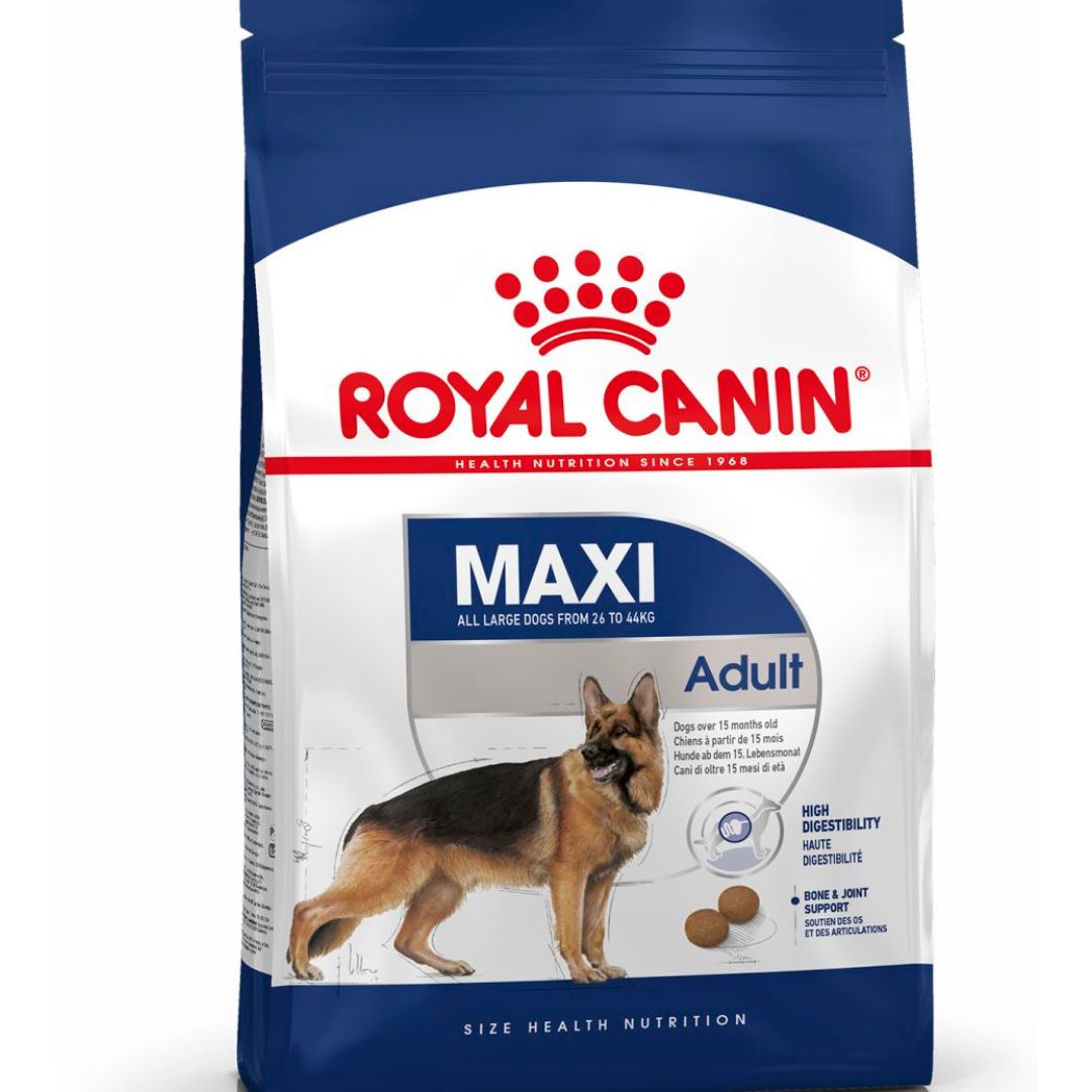Royal canin Maxi adult 4kg dog food
