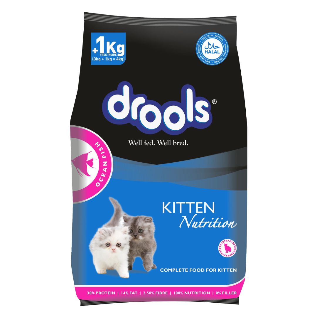 Drools Kitten Dry Food Ocean Fish Flavor