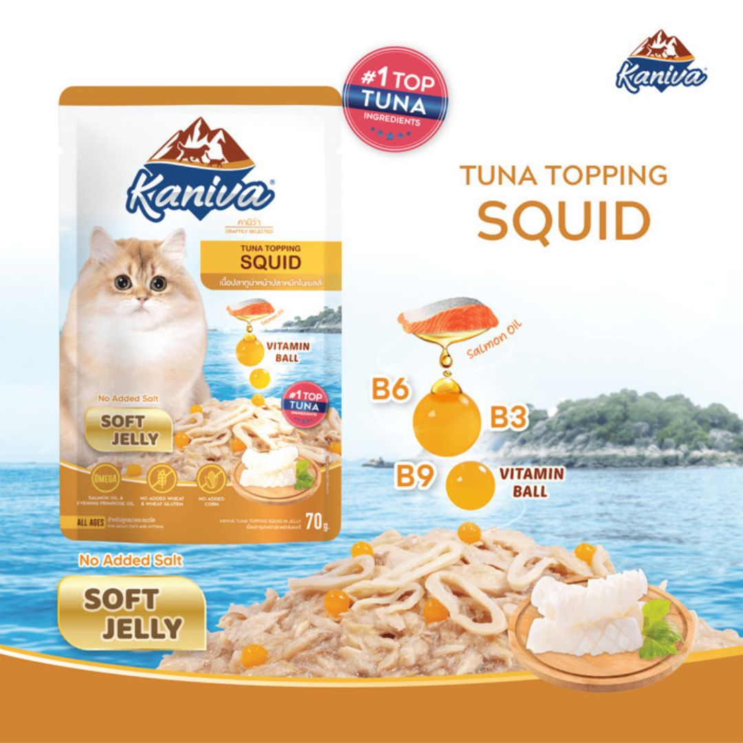 Kaniva Tuna Topping Squid Pouch 70g - Soft Jelly