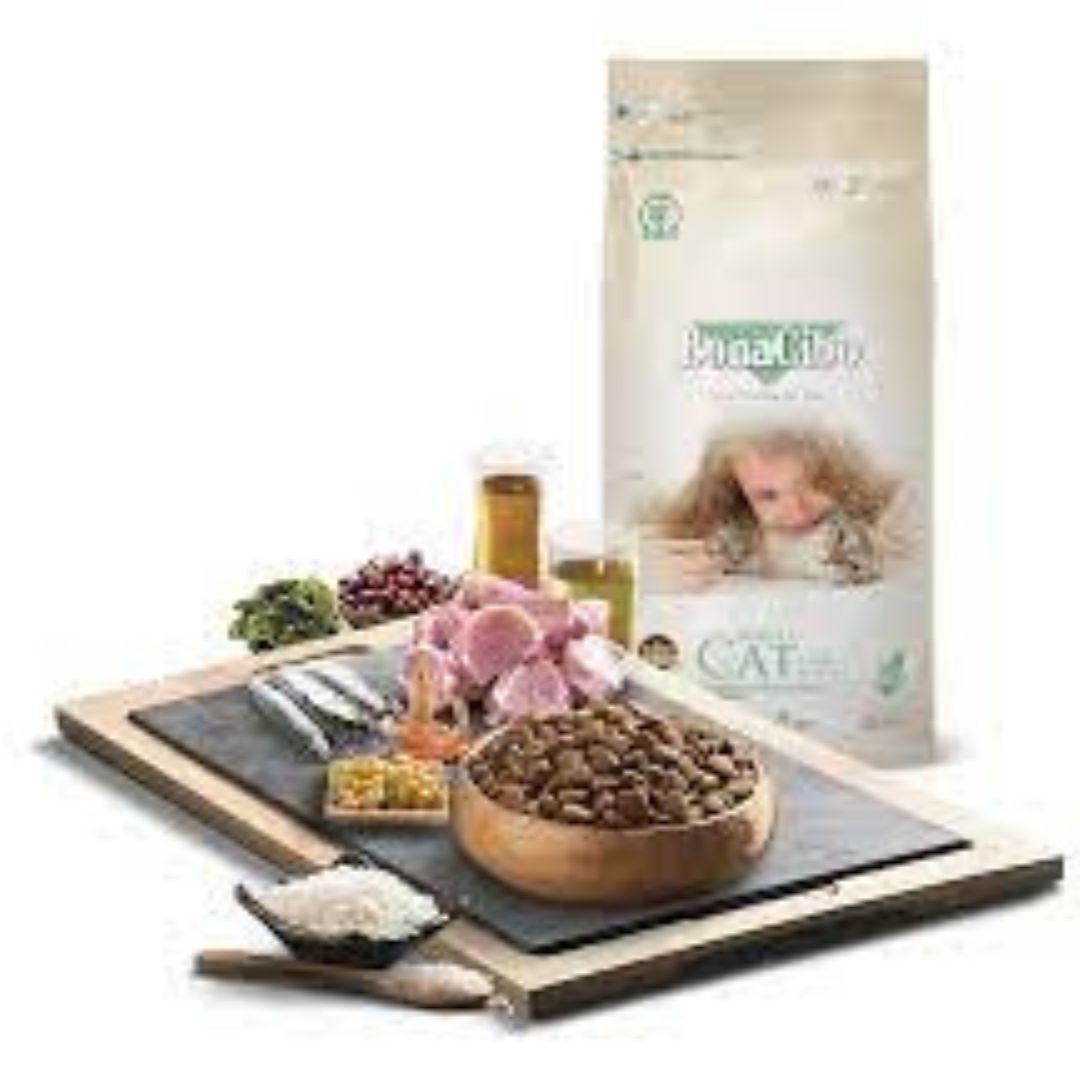 Bonacibo Adult Cat Food Lamb & Rice