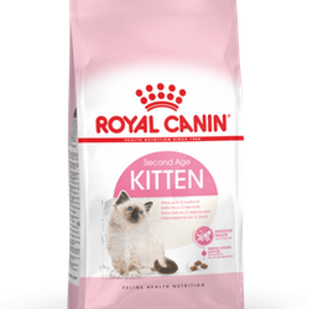 Royal Canin Kitten Dry food